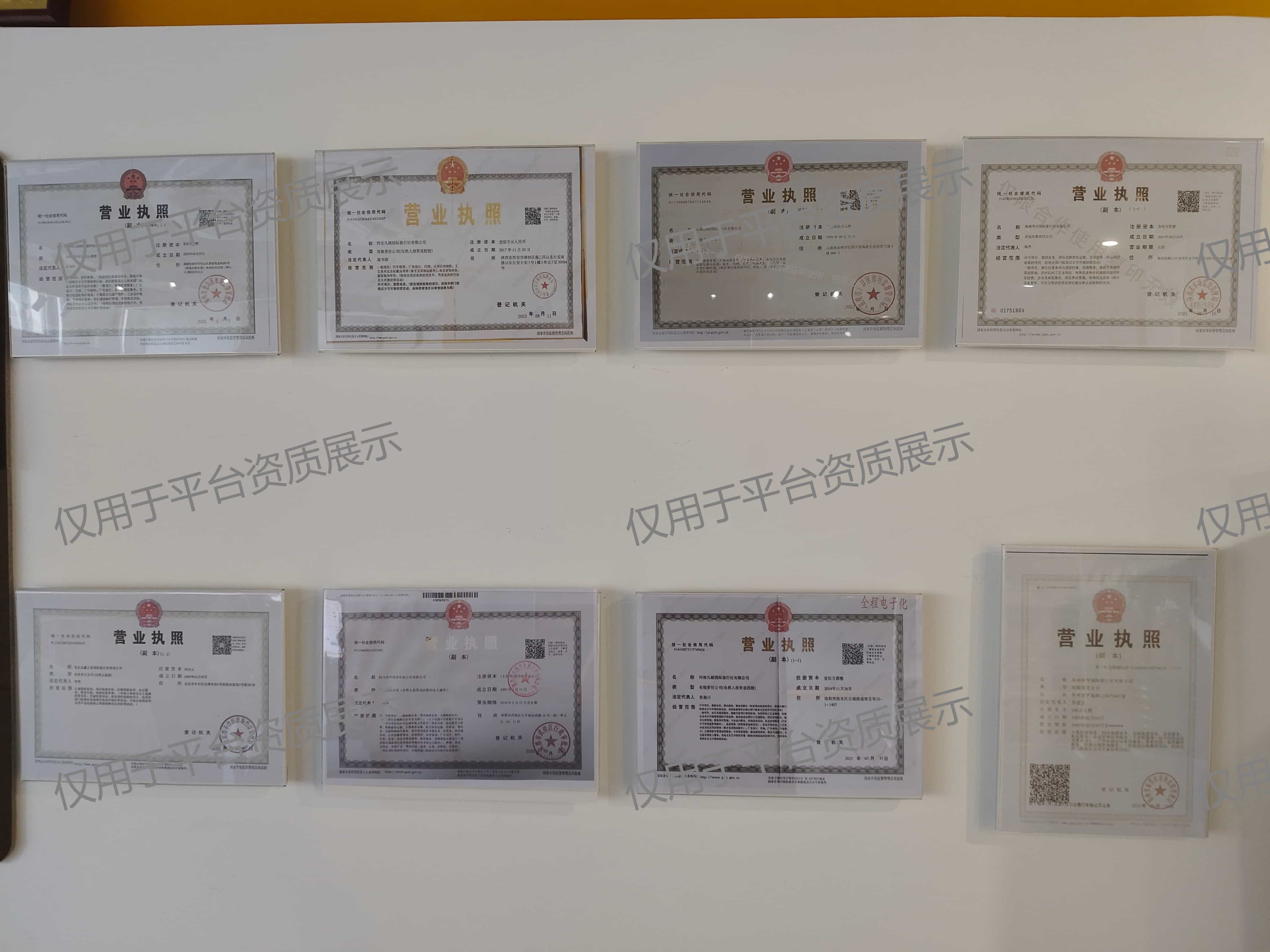 Официальная бизнес лицензия компании Go to China